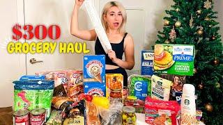 Day In the Life In Toronto  Grocery Haul 2023