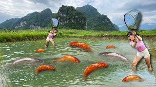 Fishing videos Girl uses a net to catch fish in the field after a flood