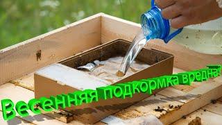 Профессор Кашковский Сахарная подкормка приводит к неполноценным пчёлам весной?