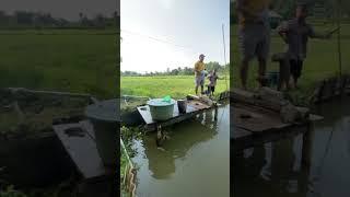 Suasana pedesaan di kampung jampang kulon #pedesaan #viral #kampung #jampangkulon #vídeoviral