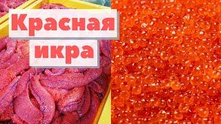 Икра красная  Как это сделано  Red caviar