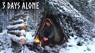 Finding Shelter in Snow 3 Day WINTER Camping Bushcraft Survival Shelter