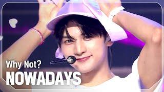 COMEBACK 나우어데이즈NOWADAYS - Why Not? l Show Champion l EP.531 l 240904