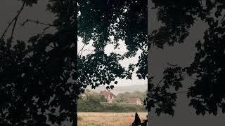 English summer rain ️ rainy day England #england #rainyday #rainydays #uktravel #englishcountryside