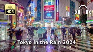 Japan - Tokyo in the Heavy Rain Day-to-Night Walking Tour 4KHDRBinaural