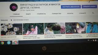 Откуда идут просмотры на Ютуб канал. Видео моим подписчикам