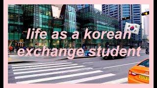 life as a korean exchange student  seoul vlog cube cafe noraebang korean class etc