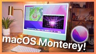 macOS Monterey Hands on First Look