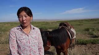 Mongolia Travel In The Slow Lane with Nomadic Journeys by horse