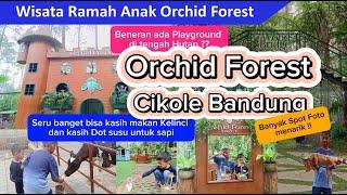 Orchid Forest Cikole Lembang Terbaru 2024main di playground tengah hutanWisata ramah anak bandung