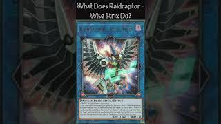 What Does Raidraptor - Wise Strix Do? Yugioh Cards Explained for Easy Deck Building