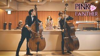 PINK PANTHER Theme Double Bass