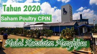 Ulasan Saham Charoen Pokphand Indonesia Tbk tahun 2020