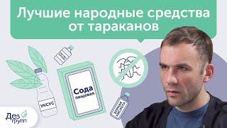 Лучшие народные средства от тараканов  Как уничтожить тараканов  Советы от СЭС