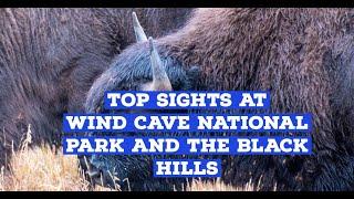 Top Sights at Wind Cave National Park and the Black Hills  Custer State Park   Devils Tower