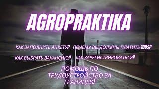 Agropraktika.by Работа в Англии и Литве для граждан СНГ Украины Грузии Казахстана