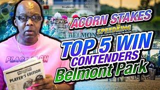 2023 Acorn Stakes Top 5 Win Contenders Speed King Style Belmont Park 692023 Belmont Stakes Day