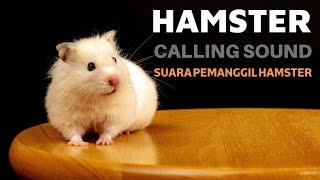 Hamster Calling Sound