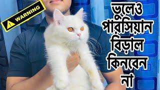 Don’t Buy A Persian Cat Before Watching This  Persian Cat Fraud Market  Katabon Pet Market  Kitty