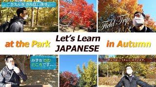 Field Trip with TOMO sensei - Learn Japanese Vocabulary & Grammar for Beginners