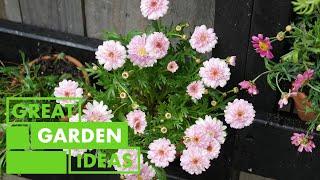 Garden Makeover Ideas on a Budget Transform Your Outdoor Space  GARDEN  Great Home Ideas