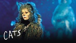 Memory Reprise  Cats the Musical