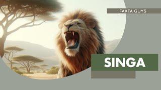 Fakta Singa Si Raja Hutan - Fakta menarik Tentang Hewan