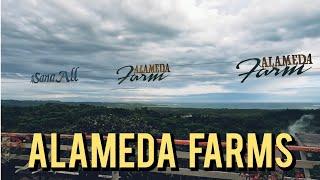 Walking Tour - Alameda Farms Surigao del Sur Popular Tourist Destination