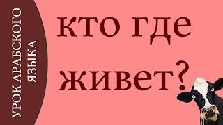 УРОК АРАБСКОГО ЯЗЫКА - Кто где живет? животные