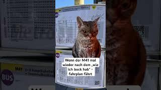 Wer hat am längsten auf den bus gewartet? #bus #berlin #katze #bvg #neukölln #meme