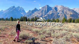 The Grand Tetons  Hiking  Fall in the Mountains #shorts #nature #hiking #mountains