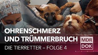 Lebensretter inside – Die Tierretter Betsy und der Trümmerbruch Folge 4  MDR DOK