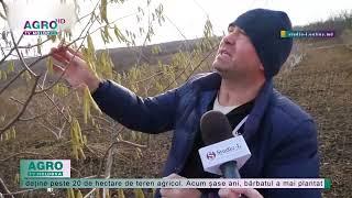 În mijloc de iarnă au înflorit livezile de alun – AGRO TV News