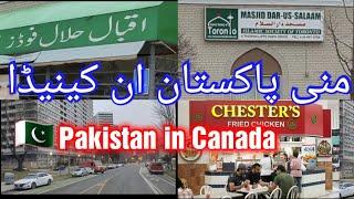 Mini Pakistan in Toronto Canada  Thorncliffe Park Drive  منی پاکستان ان کینیڈا  Pakistani Peoples