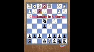 Chess Opening Traps EP015 - Mate in 5 Moves #ChessTraps #chessmove #Chess #ChessGame #ChessTactics