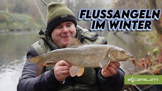 Flussangeln im Winter - Auf würzige Art zum Friedfisch