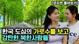 강수연_몰아보기 한국 도심의 가로수를 보고 감탄한 북한사람들