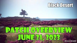 Black Desert Free Pet Free Re-Roll Coupons Tons of Event Items  Patch Note Summary