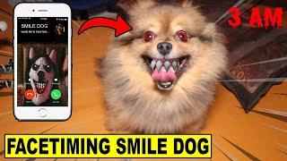 FACETIMING SMILE DOG AT 3 AM GONE WRONG *MY DOG CRIED*
