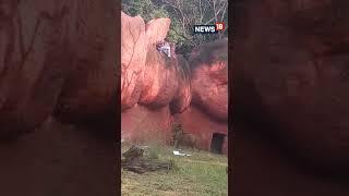 Lion Video  #Trending  Hyderabad 31-year Old Walking Dangerously Close To African Lion #Shorts