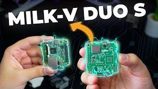 Unleashing the $10 Tech Revolution Milk-V Duo S Rocks the Linux World