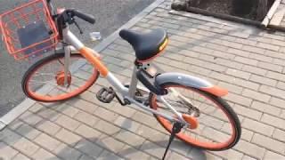 Beijings Bike-Sharing Program
