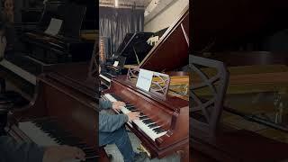 Steinway M Piano Demo #shorts #steinway #piano