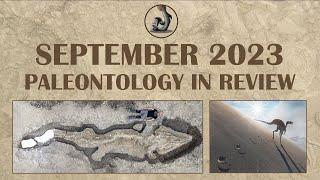 September 2023- Paleontology Review