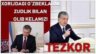 PREZIDENT ROSSIYA VA DUBAYDAN YURTDOSHLARIMIZNI QAYTARAMIZ #human human хуман yangiliklar