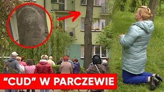 Cud w Parczewie. Byliśmy na miejscu. Jak w Fatimie i Medziugorie