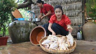 Countryside life TV Chicken is good for today recipe  Chicken curry  Ginger stir-fried chicken