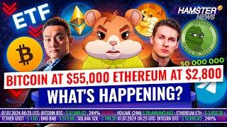 Weekly Recap Bitcoin dips Ethereum ETFs and Hamster milestones  Hamster News