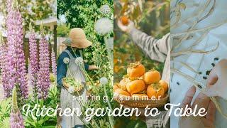 From kitchen garden to table SpringSummer - California Seasonal Cooking with backyard harvest