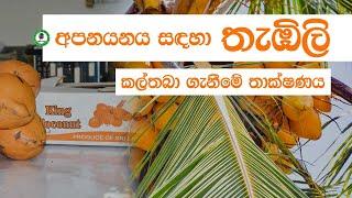 අපනයනය සඳහා තැඹිලි කල් තබා ගැනීමේ තාක්ෂණය